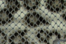 Image 1-2